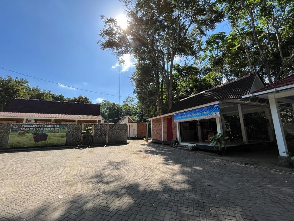Capital O 92612 Penginapan D'Alas Purwo & Beachnearpadang Savana Sadengan Banyuwangi  Esterno foto